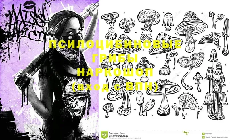 Псилоцибиновые грибы MAGIC MUSHROOMS  купить  сайты  Волхов 